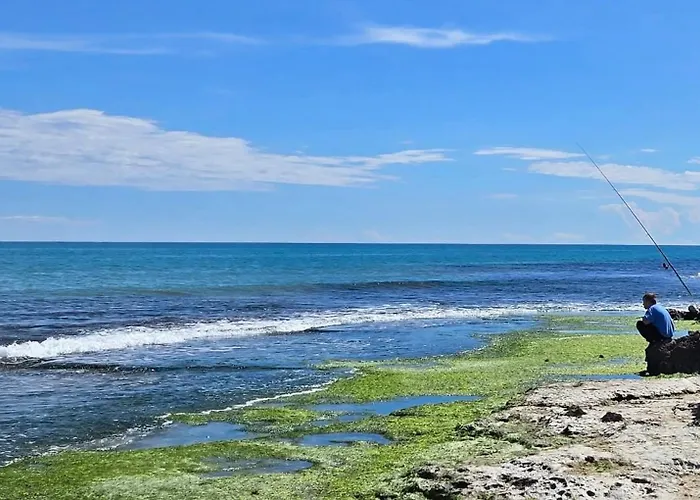 William 托雷维耶哈